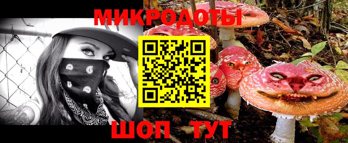 Галлюциногенные грибы мицелий Псков