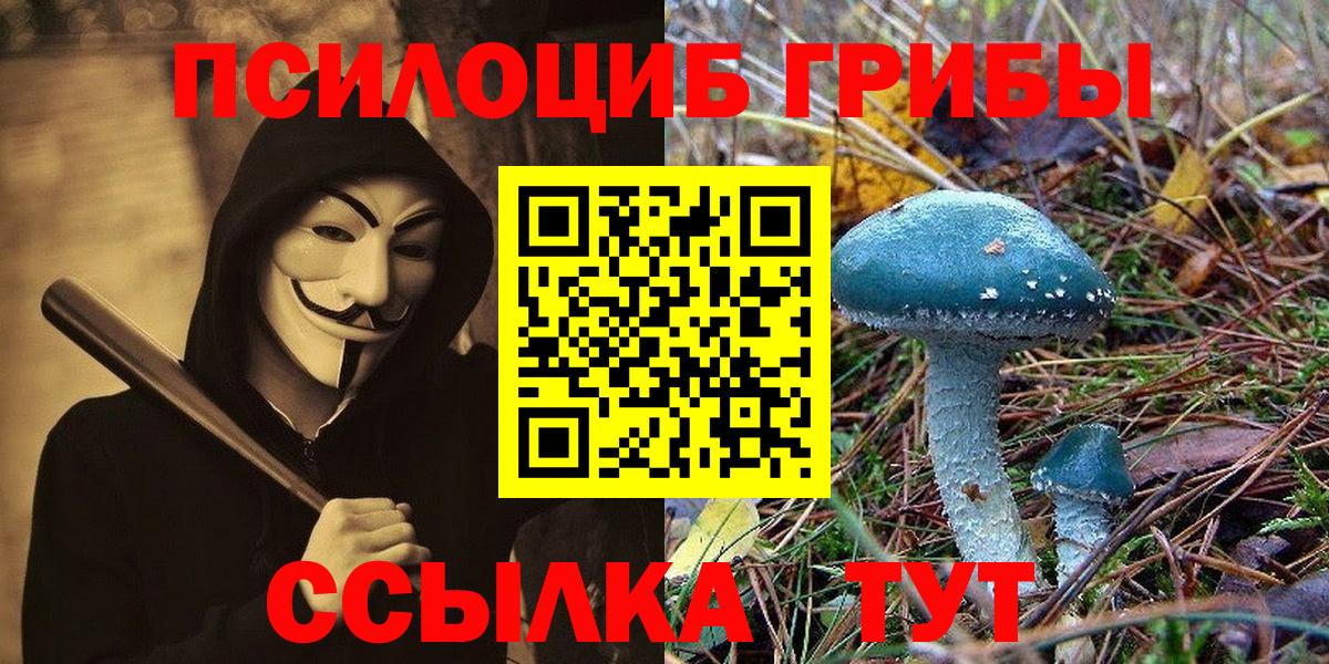 Псилоцибиновые грибы прущие грибы  как найти наркотики  Псилоцибиновые грибы Psilocybe  Псков  Вход с VPN 